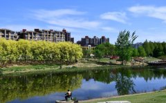 買相機鏡頭千萬不要好高騖遠，（有錢任性例外！）